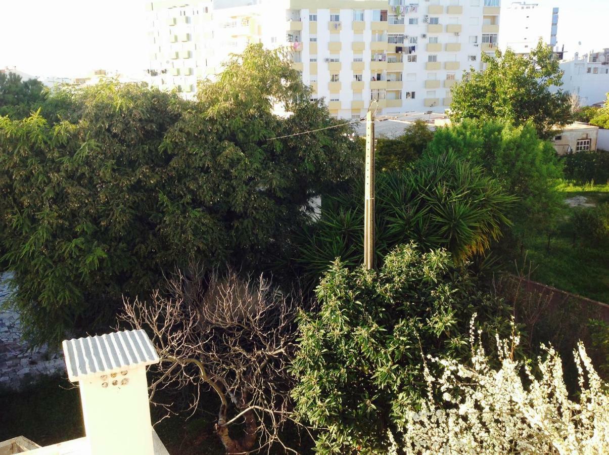 Pensao Algarve Bed & Breakfast Sao Bras de Alportel Bagian luar foto